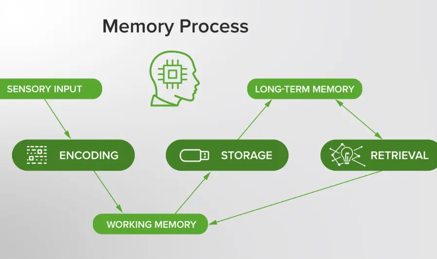 understanding how memory works